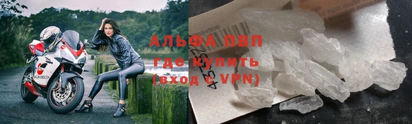 прущие грибы Баксан