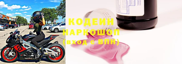 прущие грибы Баксан