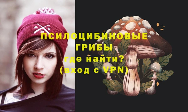 прущие грибы Баксан