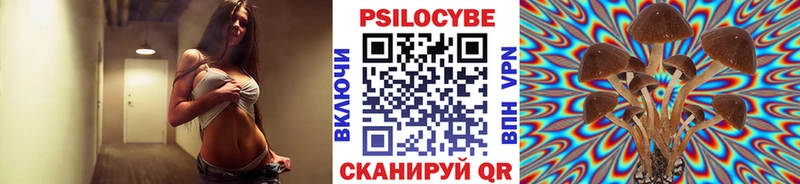 Галлюциногенные грибы Psilocybe  Будённовск 